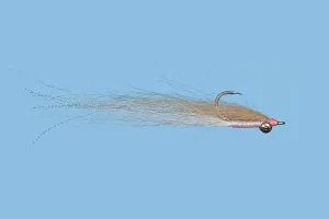 Andy Smith Bonefish - Solitude