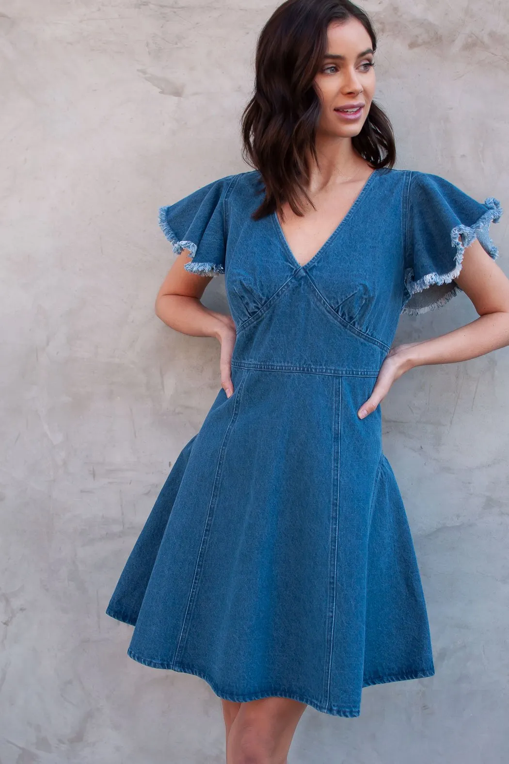 Dolo Denim Flutter Sleeve Dress