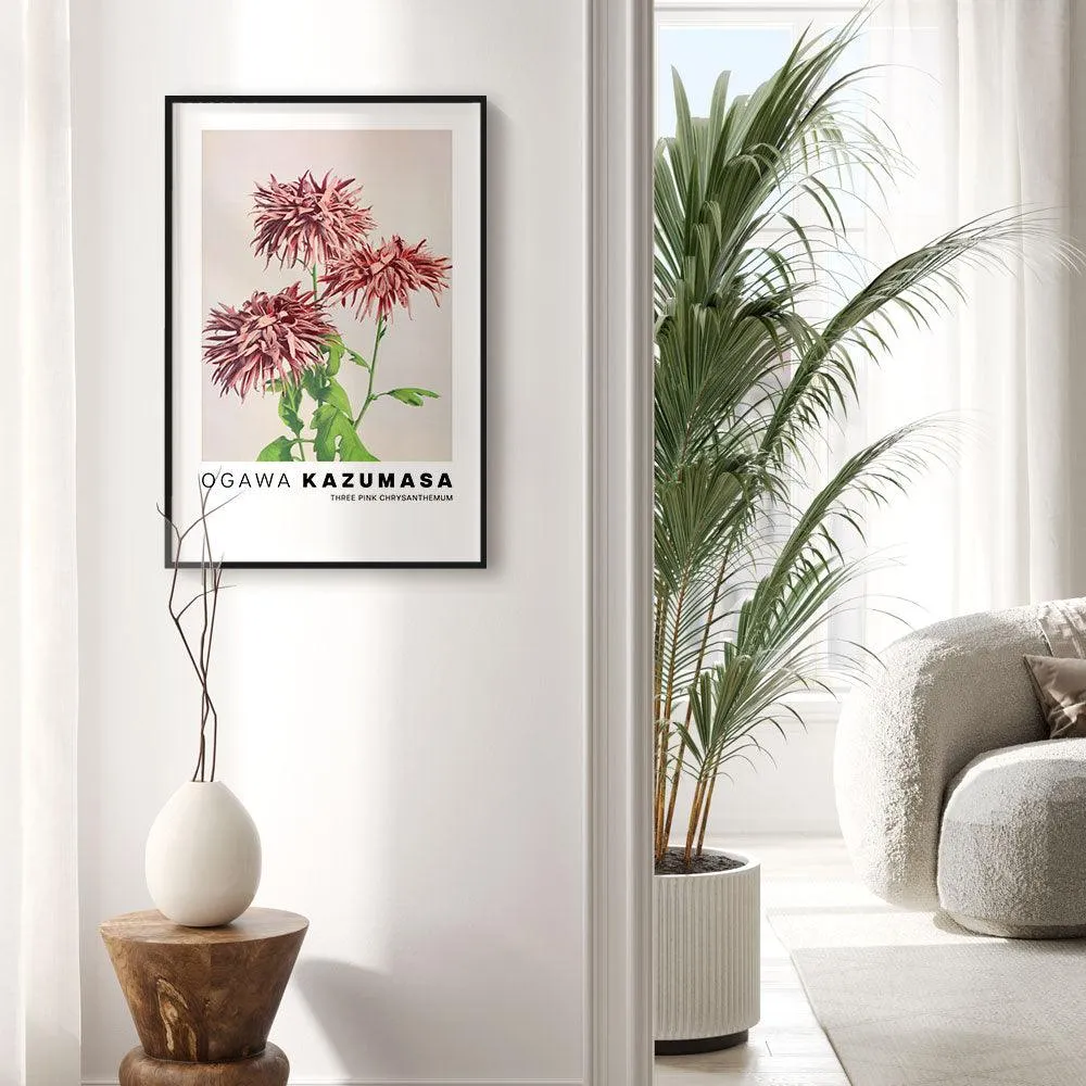 Ogawa Kazumasa - Three Pink Chrysanthemum