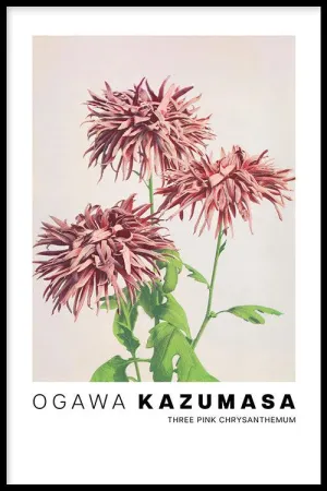 Ogawa Kazumasa - Three Pink Chrysanthemum