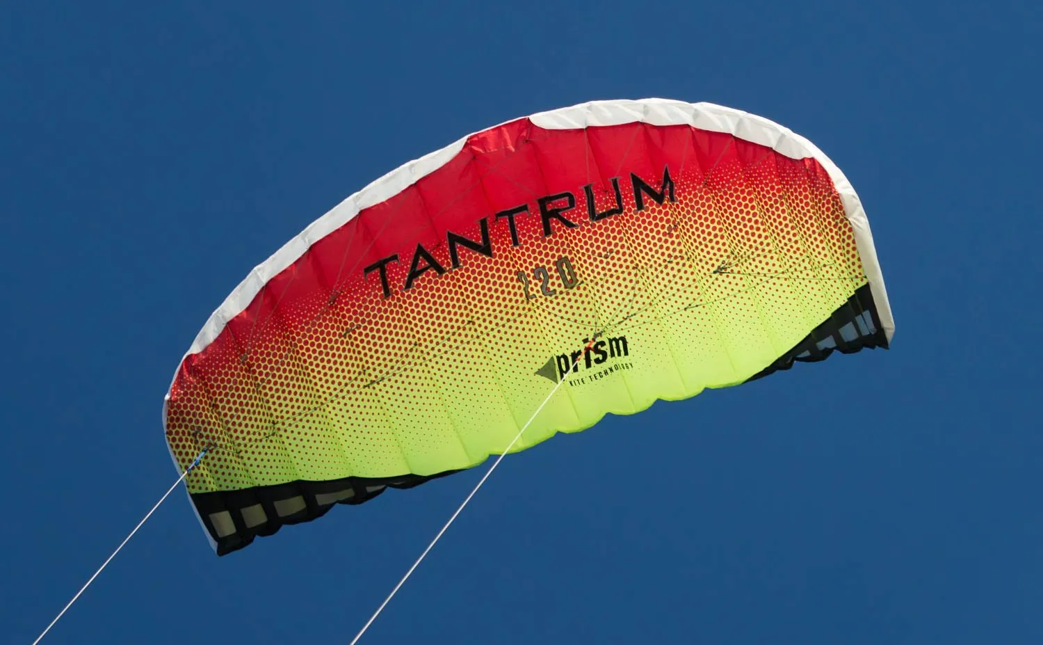 Tantrum 220 (Blemish)